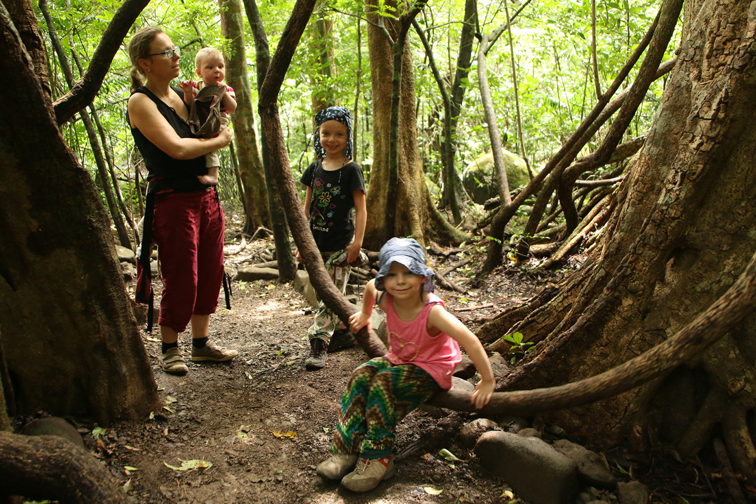 Costa Rica im Nationalpark